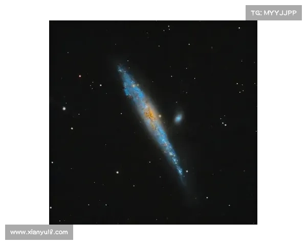 神秘宇宙攻略—神秘宇宙信号：星尘漫步：揭秘宇宙奥秘之旅